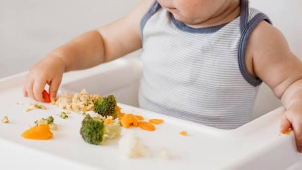 ALIMENTACION
